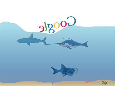 بحث جوجل تحت الماء